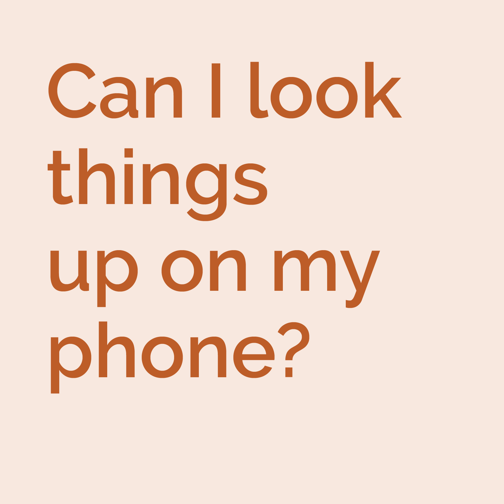 Can I look things up on my phone?